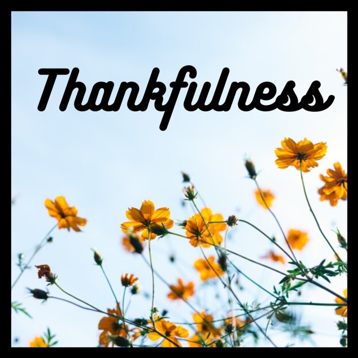 Thankfulness.png